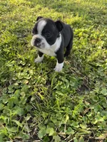 processed/9567b6b2-d231-4859-a29b-3cefa594fe3a/listing/e7a7ae3d-65a5-4072-8d74-5439783c4983/b71cdbbc-416f-4f52-b7cd-45a5fbc3e724