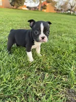 processed/9567b6b2-d231-4859-a29b-3cefa594fe3a/listing/ebe4e1ad-3814-4c14-9bb1-edf084dc8fc2/9cdbe81a-220d-45b8-bfac-6170991956a4