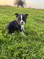 processed/9567b6b2-d231-4859-a29b-3cefa594fe3a/listing/ebe4e1ad-3814-4c14-9bb1-edf084dc8fc2/c8c4c991-6c12-4ec2-8008-684d7cdefe26