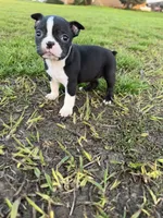 processed/9567b6b2-d231-4859-a29b-3cefa594fe3a/listing/ebe4e1ad-3814-4c14-9bb1-edf084dc8fc2/f730445f-49e8-4ae0-98e6-57026cf4cd69