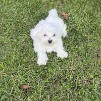 processed/956c58d6-18c8-47f2-80bc-411de9c30fcf/facility/0e6fb2f1-ba90-4f65-8a92-8925ebe67a13