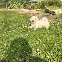 processed/956c58d6-18c8-47f2-80bc-411de9c30fcf/facility/13d620ba-9d38-4577-a812-c645433519b6