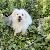 processed/956c58d6-18c8-47f2-80bc-411de9c30fcf/facility/2185f5d8-6dc8-46f6-a7c0-4c4603e3e2da