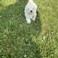 processed/956c58d6-18c8-47f2-80bc-411de9c30fcf/facility/6cf8cb57-14d3-4f4f-bb8b-d04e603b4b85