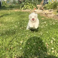 processed/956c58d6-18c8-47f2-80bc-411de9c30fcf/facility/6fe90a6c-cba5-4aa4-9258-c0ffb56b7641