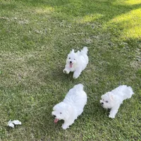 processed/956c58d6-18c8-47f2-80bc-411de9c30fcf/facility/9ce5fefc-5759-48f6-993e-5d72fe356e4b