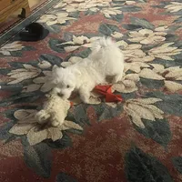 processed/956c58d6-18c8-47f2-80bc-411de9c30fcf/facility/d088d8dd-0ccb-49fa-8976-6a7a4f7781df