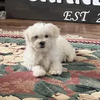 processed/956c58d6-18c8-47f2-80bc-411de9c30fcf/facility/d2d8b026-9e11-4719-b439-9281a6b11e28