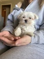 processed/956c58d6-18c8-47f2-80bc-411de9c30fcf/listing/2f86e4ef-b3bc-49df-97a0-8df7a8c5594c/536c35ea-4af0-4aaa-b245-fb26ea305b72