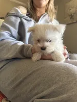 processed/956c58d6-18c8-47f2-80bc-411de9c30fcf/listing/2f86e4ef-b3bc-49df-97a0-8df7a8c5594c/e73e0930-6a5d-4857-91f8-dd04913bbfc9