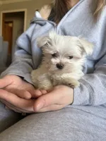 processed/956c58d6-18c8-47f2-80bc-411de9c30fcf/listing/2f86e4ef-b3bc-49df-97a0-8df7a8c5594c/f5c43ca3-250c-4cf2-8452-83602b4bfb84