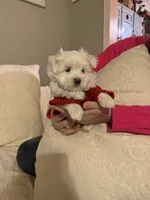 processed/956c58d6-18c8-47f2-80bc-411de9c30fcf/listing/68c1c3f0-dc97-4be7-ac21-f75821ee6e87/23f80bd5-8cce-41aa-8cb4-42ecadc509d9