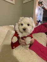 processed/956c58d6-18c8-47f2-80bc-411de9c30fcf/listing/68c1c3f0-dc97-4be7-ac21-f75821ee6e87/c92a7a2a-0bb2-49d0-81d6-88cf39727878