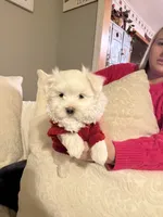 processed/956c58d6-18c8-47f2-80bc-411de9c30fcf/listing/68c1c3f0-dc97-4be7-ac21-f75821ee6e87/d0ac8a43-c08f-48a4-91bf-2672a8c9df75