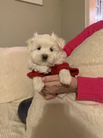 processed/956c58d6-18c8-47f2-80bc-411de9c30fcf/listing/68c1c3f0-dc97-4be7-ac21-f75821ee6e87/d26d9181-d0ba-46dc-b988-6355fb3b6eac