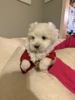 processed/956c58d6-18c8-47f2-80bc-411de9c30fcf/listing/68c1c3f0-dc97-4be7-ac21-f75821ee6e87/ef71a054-891d-4f19-b959-a1c17262537a