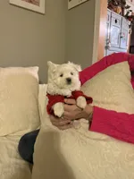 processed/956c58d6-18c8-47f2-80bc-411de9c30fcf/listing/68c1c3f0-dc97-4be7-ac21-f75821ee6e87/f6476464-8dec-49d7-aa01-6e186c817504