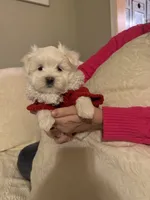 processed/956c58d6-18c8-47f2-80bc-411de9c30fcf/listing/69034996-6861-4b16-84c9-6ae10167965a/45be4e4d-3ace-4a34-b807-e347810a0cdf