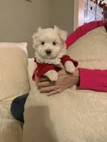 processed/956c58d6-18c8-47f2-80bc-411de9c30fcf/listing/69034996-6861-4b16-84c9-6ae10167965a/6bf8160d-d586-4df4-862d-7de3e31ffbfd