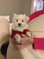 processed/956c58d6-18c8-47f2-80bc-411de9c30fcf/listing/69034996-6861-4b16-84c9-6ae10167965a/c10dea9b-b5d1-4772-b4cd-8c24ba16c2c3