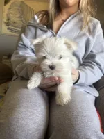 processed/956c58d6-18c8-47f2-80bc-411de9c30fcf/listing/7ecd232b-5b2a-41a2-ab4f-e062248e4018/03ccd83f-c3cc-412c-a986-31d29b4301a2