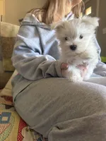 processed/956c58d6-18c8-47f2-80bc-411de9c30fcf/listing/7ecd232b-5b2a-41a2-ab4f-e062248e4018/5af3a76e-11e6-4b0a-8b03-c21cd63d4ce4