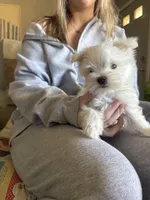 processed/956c58d6-18c8-47f2-80bc-411de9c30fcf/listing/7ecd232b-5b2a-41a2-ab4f-e062248e4018/a674444c-398d-4dfa-a090-bcae45acf26e