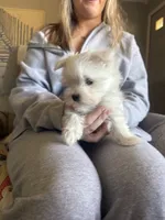 processed/956c58d6-18c8-47f2-80bc-411de9c30fcf/listing/7ecd232b-5b2a-41a2-ab4f-e062248e4018/b2023123-4eb7-47e6-90f4-5816d903ab3b