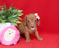 processed/957da543-50e5-4c66-a945-1521559d6630/listing/04a67e00-67d7-4459-9f8e-907e17c50f8f/09607e43-01de-4fb4-8c21-8dcb6c26d17e