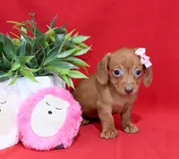 processed/957da543-50e5-4c66-a945-1521559d6630/listing/04a67e00-67d7-4459-9f8e-907e17c50f8f/ecafc3f7-5b8f-4a9d-869c-4980d7db0fd3