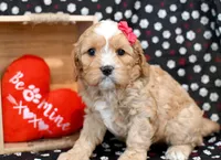 processed/957da543-50e5-4c66-a945-1521559d6630/listing/5a558861-af8c-496b-b1cf-869e9d681db0/10a1b679-6d50-416c-ba2f-30a09dd33ea1