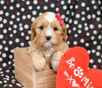 processed/957da543-50e5-4c66-a945-1521559d6630/listing/5a558861-af8c-496b-b1cf-869e9d681db0/672e3f31-5bdd-40fe-ac2c-c7e4ccd3ba22