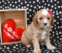 processed/957da543-50e5-4c66-a945-1521559d6630/listing/5a558861-af8c-496b-b1cf-869e9d681db0/84da1558-b6f5-4dbe-ba29-23c6f51b0711