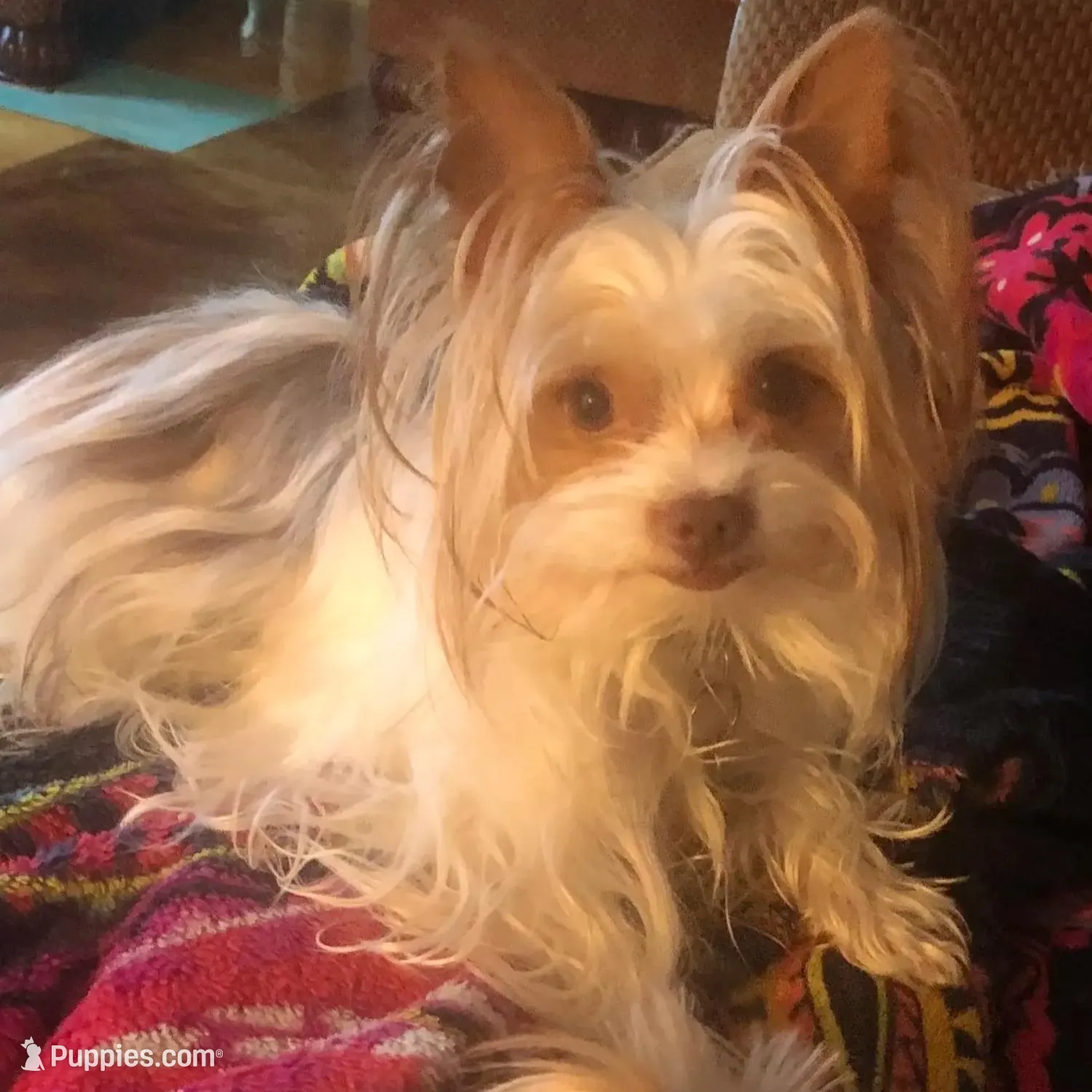 processed/958966ab-aa2b-4095-b62c-9435b164c0ab/facility/08c35242-34f3-46b9-a10a-6082e20aabc8