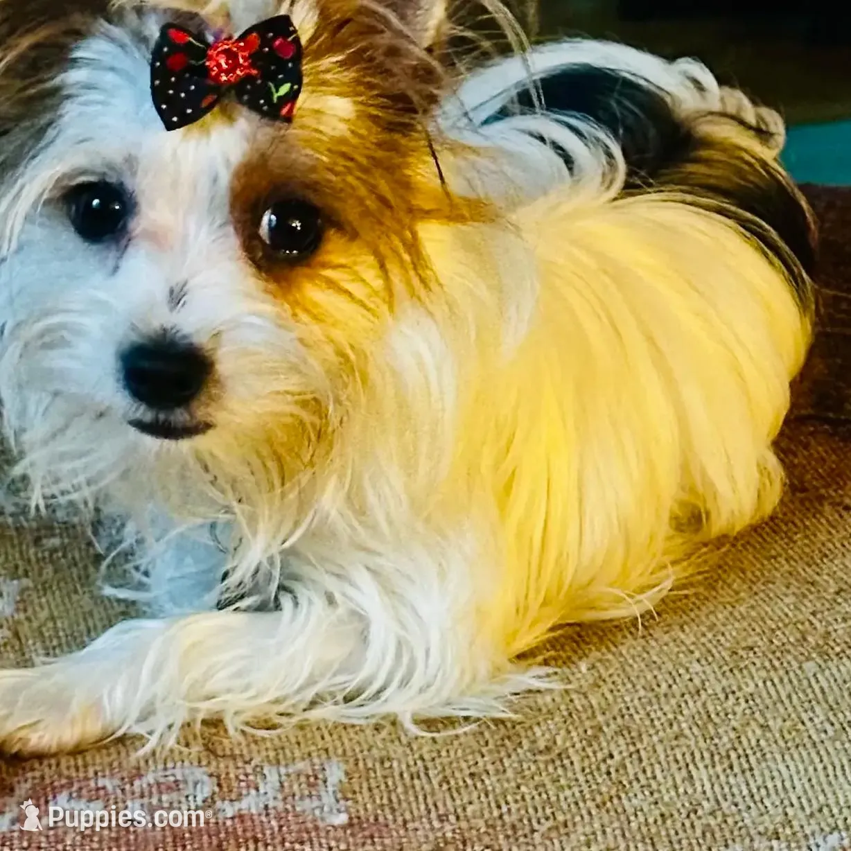 processed/958966ab-aa2b-4095-b62c-9435b164c0ab/facility/36b16371-1a59-43fc-871a-143003de0d85