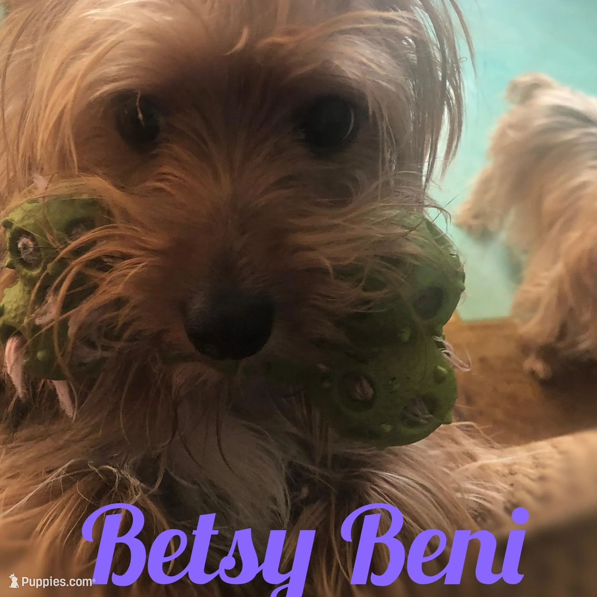 processed/958966ab-aa2b-4095-b62c-9435b164c0ab/facility/b8802966-eb7f-4a11-b56b-7ddf4ece835f