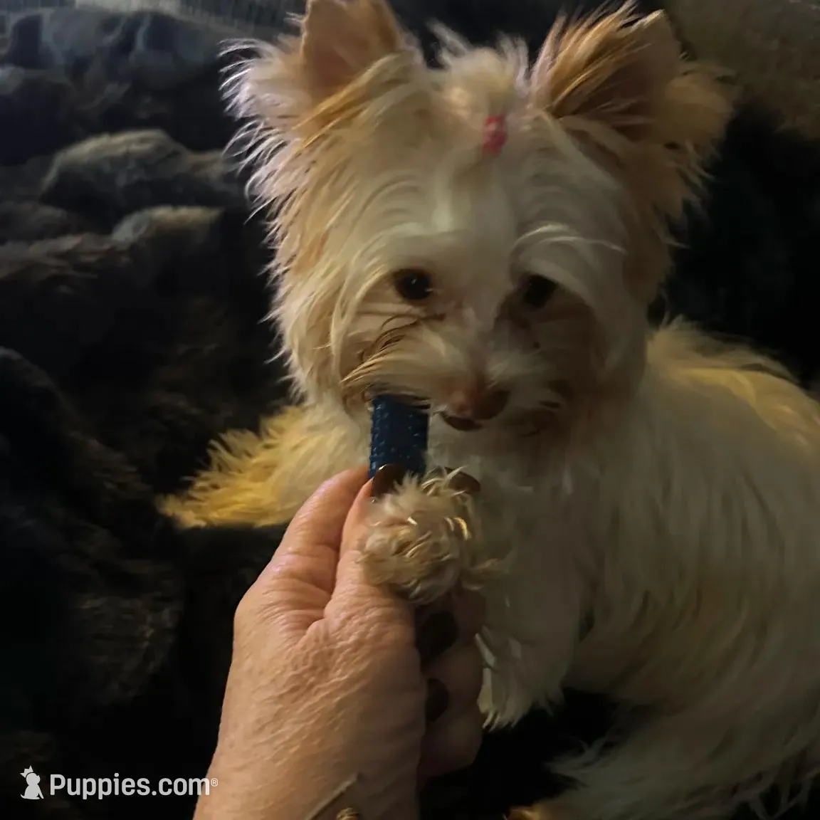 processed/958966ab-aa2b-4095-b62c-9435b164c0ab/facility/bfd1682c-cb0b-42ab-96e1-db480ce500c2