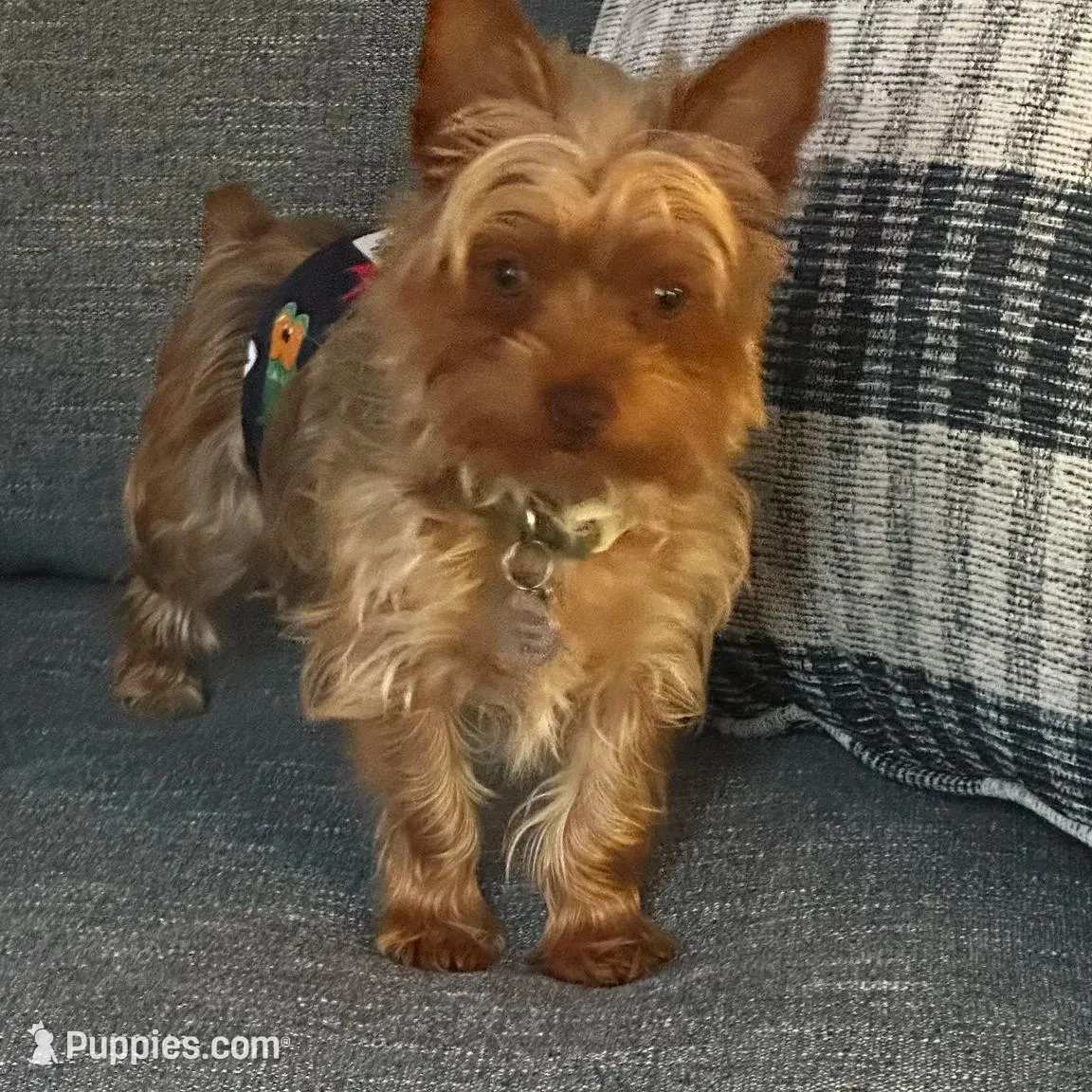 processed/958966ab-aa2b-4095-b62c-9435b164c0ab/facility/c95b3daa-3e58-4d07-a3d3-2ddd4617df95