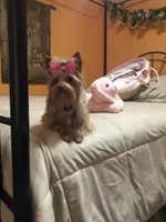 processed/958966ab-aa2b-4095-b62c-9435b164c0ab/facility/da067d57-5b89-4fa7-aa6f-b5e599489371