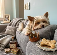 AKC Mandy, a female Yorkshire Terrier for sale in North Judson, IN – 5 of 6