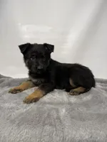 processed/95a66296-268c-46eb-991b-f19242528e3e/listing/0263f95c-aebb-415f-a40c-43e25267aa72/043a4788-189b-48b8-9104-97297fe01f4a