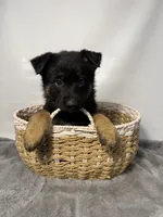 processed/95a66296-268c-46eb-991b-f19242528e3e/listing/0263f95c-aebb-415f-a40c-43e25267aa72/27f68524-bdd8-4ba1-926a-9af323279937