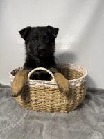 processed/95a66296-268c-46eb-991b-f19242528e3e/listing/0263f95c-aebb-415f-a40c-43e25267aa72/45c42577-ce3f-4caa-b7b6-1b75b5d27634