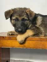 processed/95a66296-268c-46eb-991b-f19242528e3e/listing/2543db00-b9a0-4edd-8059-c8f9ef457d1a/15b38c0f-a8a4-4a06-af1f-d97307441fc7