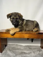 processed/95a66296-268c-46eb-991b-f19242528e3e/listing/2543db00-b9a0-4edd-8059-c8f9ef457d1a/a87dcbe0-41ce-4a5b-92c0-27de4c6cae2f