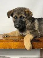 processed/95a66296-268c-46eb-991b-f19242528e3e/listing/2543db00-b9a0-4edd-8059-c8f9ef457d1a/f239e983-db3b-4760-9a82-a36908c51d68