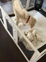 processed/95a9cee5-a8b9-40e6-850d-4739f24dcdd9/facility/f6f764a3-4046-41f2-b0d9-8fa8339f2f32