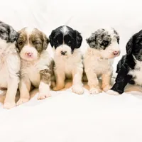 processed/95b79791-5157-4080-ae93-275fb4778cae/facility/00098eb3-9bd1-4dc4-9cdb-1fad86caac86