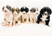 processed/95b79791-5157-4080-ae93-275fb4778cae/facility/00098eb3-9bd1-4dc4-9cdb-1fad86caac86