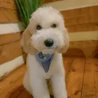 processed/95b79791-5157-4080-ae93-275fb4778cae/facility/05f0f3f6-69fc-4cd9-b000-e78bf42e5fb4